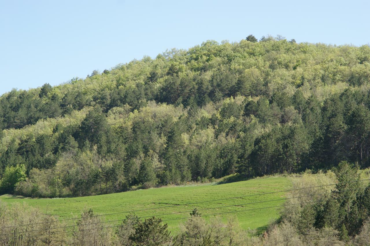 לינה וארוחת בוקר Val-du-Faby Domaine De Luzenac מראה חיצוני תמונה