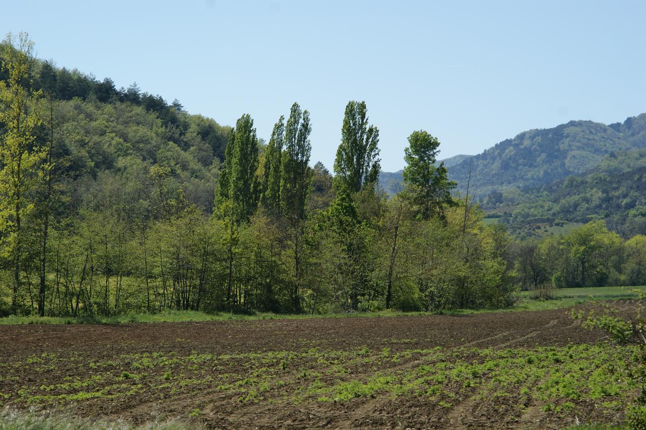 לינה וארוחת בוקר Val-du-Faby Domaine De Luzenac מראה חיצוני תמונה